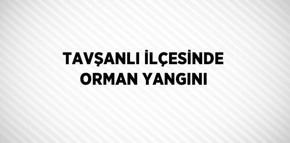 TAVŞANLI İLÇESİNDE ORMAN YANGINI