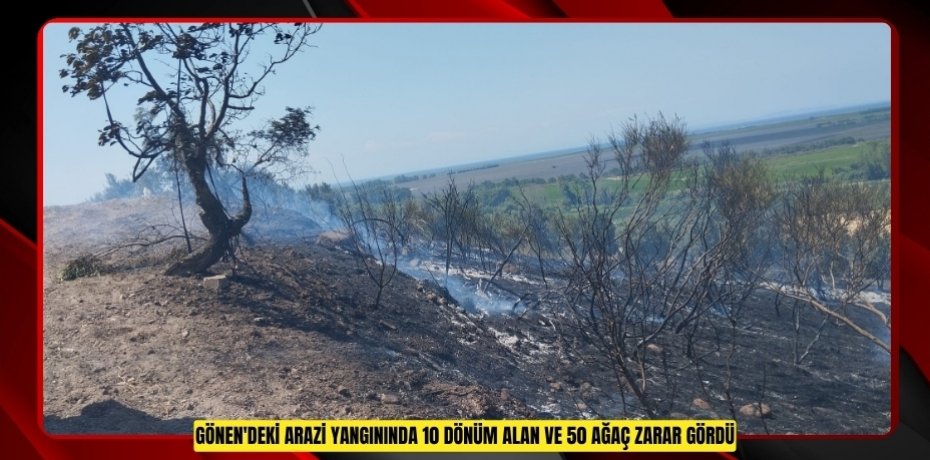 Gönen'deki arazi yangınında 10 dönüm alan ve 50 ağaç zarar gördü  