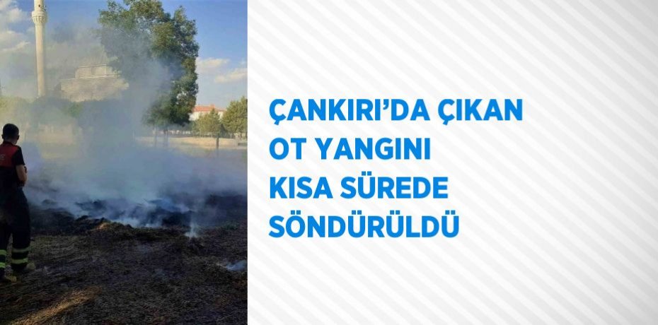 ÇANKIRI’DA ÇIKAN OT YANGINI KISA SÜREDE SÖNDÜRÜLDÜ