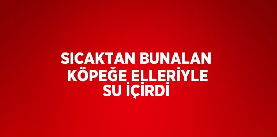SICAKTAN BUNALAN KÖPEĞE ELLERİYLE SU İÇİRDİ