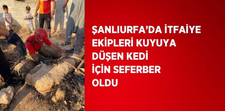 ŞANLIURFA’DA İTFAİYE EKİPLERİ KUYUYA DÜŞEN KEDİ İÇİN SEFERBER OLDU