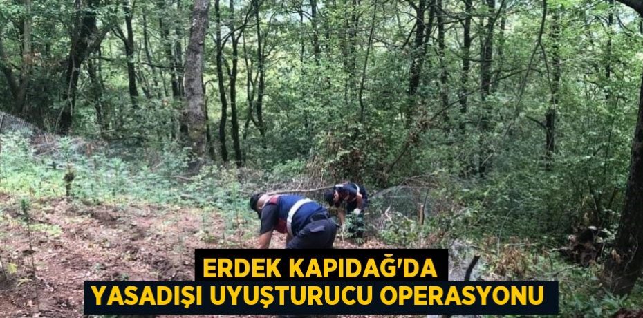 Erdek Kapıdağ'da yasadışı uyuşturucu operasyonu