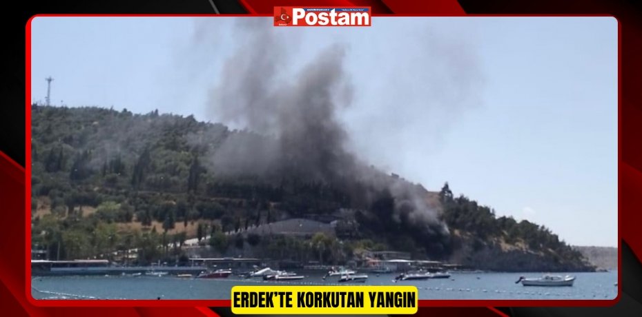 Erdek’te korkutan yangın