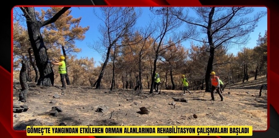 Gömeç'te yangından etkilenen orman alanlarında rehabilitasyon çalışmaları başladı  