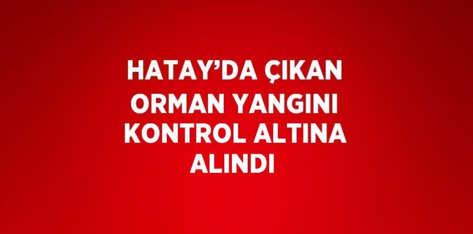 HATAY’DA ÇIKAN ORMAN YANGINI KONTROL ALTINA ALINDI