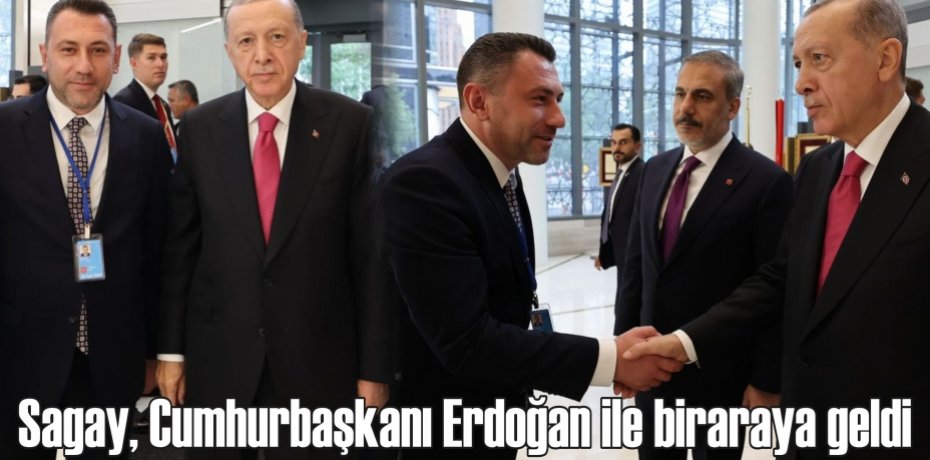 Sagay, Cumhurbaşkanı Erdoğan ile bir araya geldi