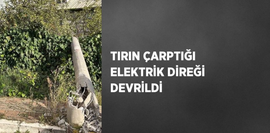 TIRIN ÇARPTIĞI ELEKTRİK DİREĞİ DEVRİLDİ