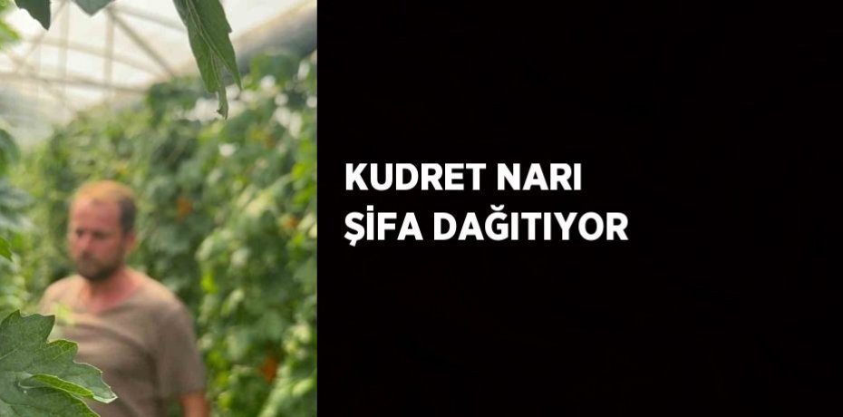 KUDRET NARI ŞİFA DAĞITIYOR