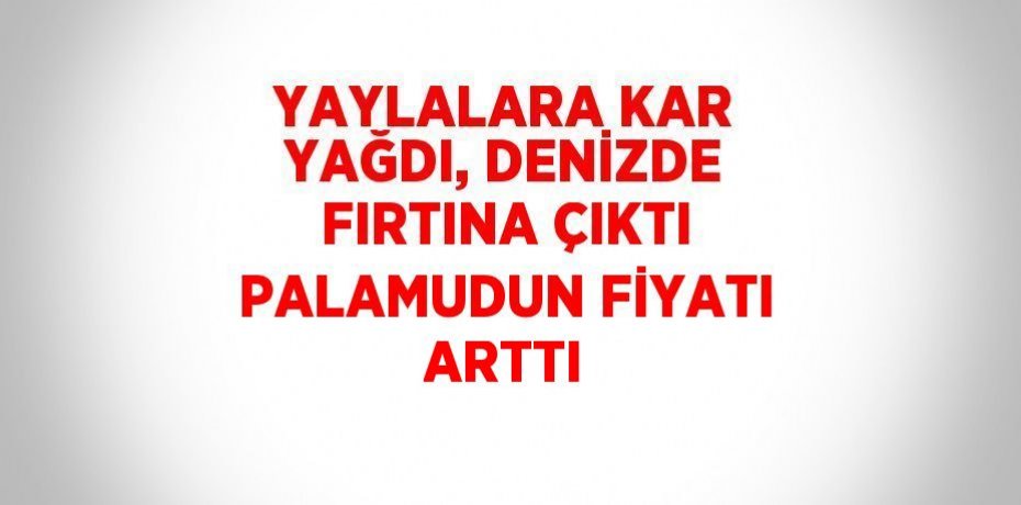 YAYLALARA KAR YAĞDI, DENİZDE FIRTINA ÇIKTI PALAMUDUN FİYATI ARTTI
