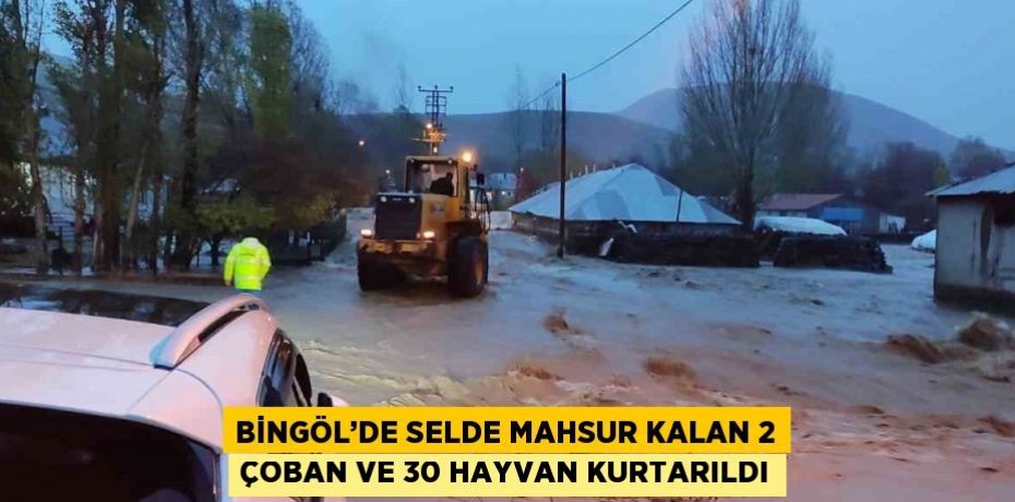 BİNGÖL’DE SELDE MAHSUR KALAN 2 ÇOBAN VE 30 HAYVAN KURTARILDI