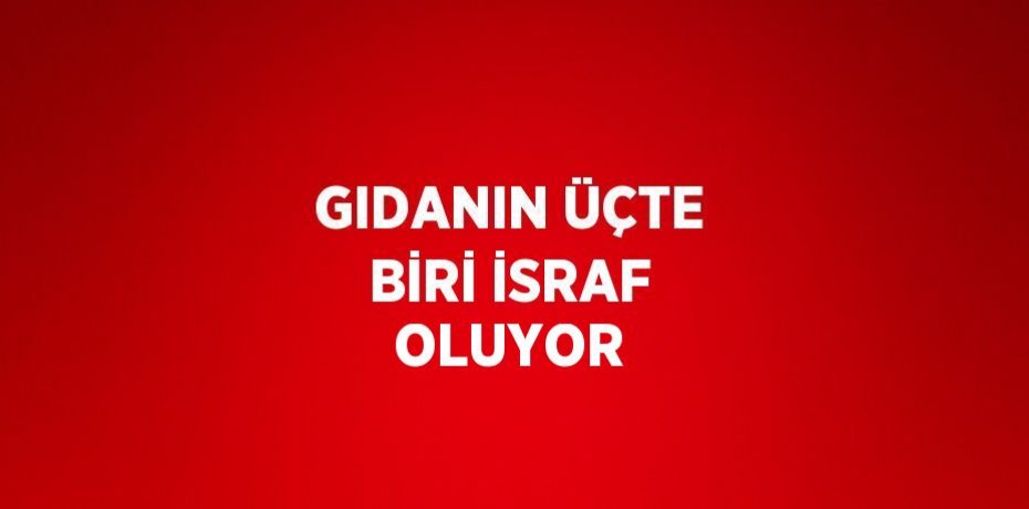 GIDANIN ÜÇTE BİRİ İSRAF OLUYOR