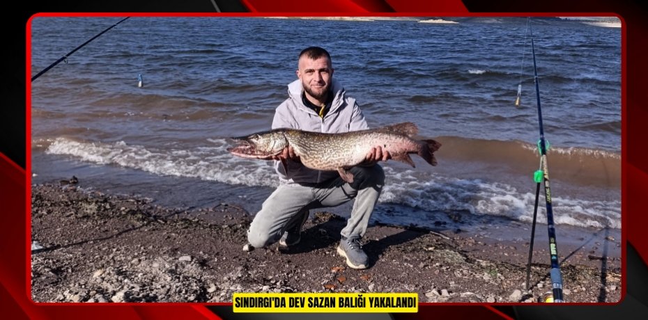 Sındırgı'da dev sazan balığı yakalandı