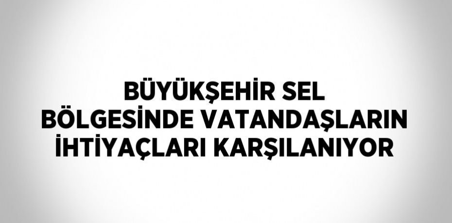 BÜYÜKŞEHİR SEL BÖLGESİNDE VATANDAŞLARIN İHTİYAÇLARI KARŞILANIYOR