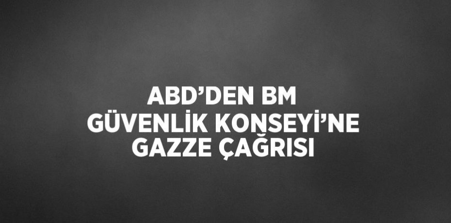 ABD’DEN BM GÜVENLİK KONSEYİ’NE GAZZE ÇAĞRISI