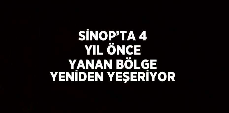 SİNOP’TA 4 YIL ÖNCE YANAN BÖLGE YENİDEN YEŞERİYOR