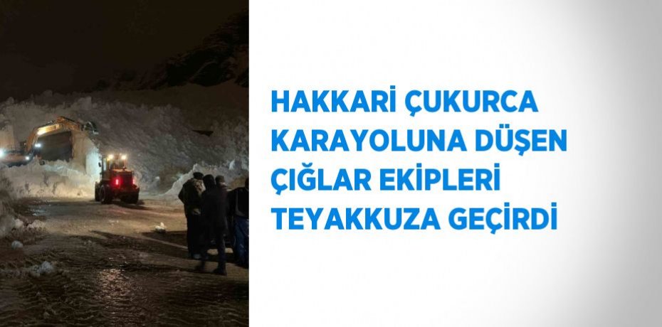 HAKKARİ ÇUKURCA KARAYOLUNA DÜŞEN ÇIĞLAR EKİPLERİ TEYAKKUZA GEÇİRDİ