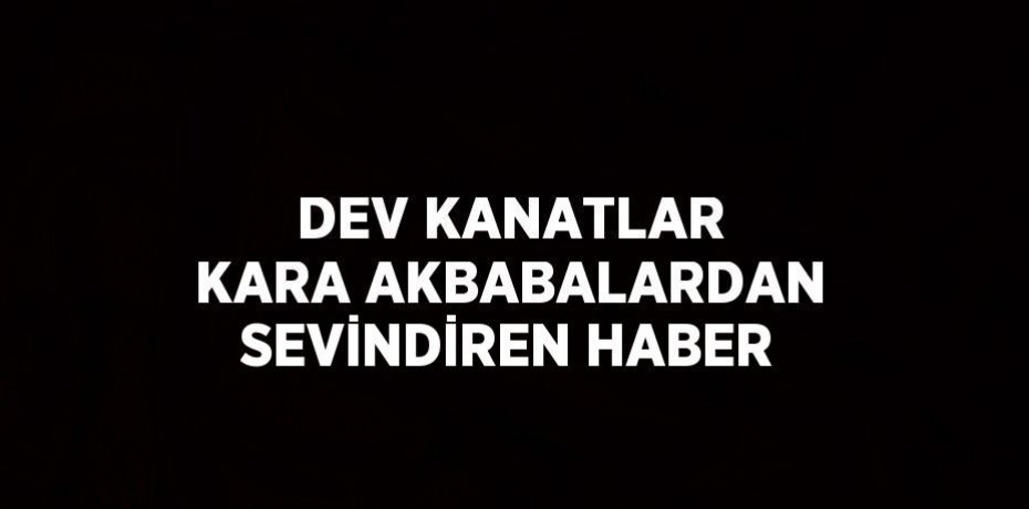 DEV KANATLAR KARA AKBABALARDAN SEVİNDİREN HABER
