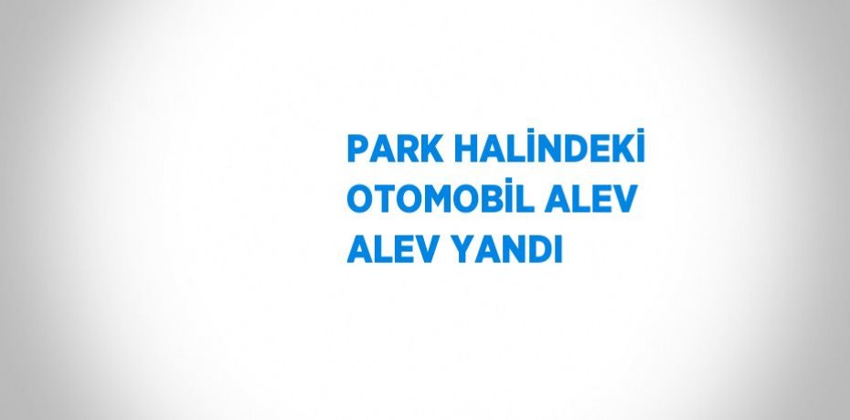 PARK HALİNDEKİ OTOMOBİL ALEV ALEV YANDI