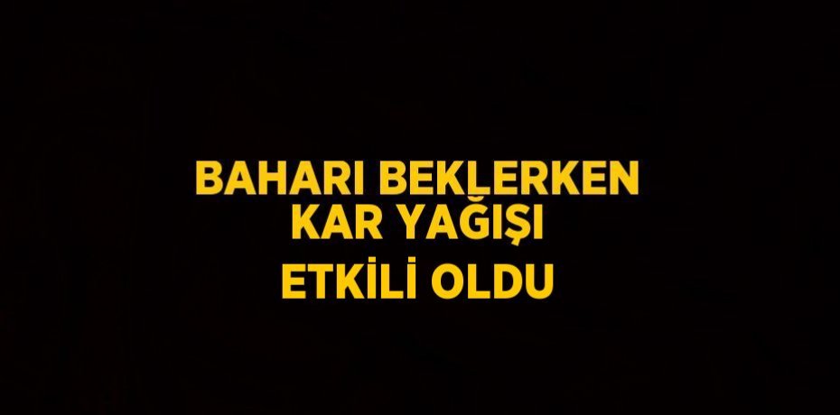 BAHARI BEKLERKEN KAR YAĞIŞI ETKİLİ OLDU