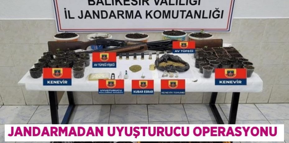 Jandarmadan uyuşturucu operasyonu