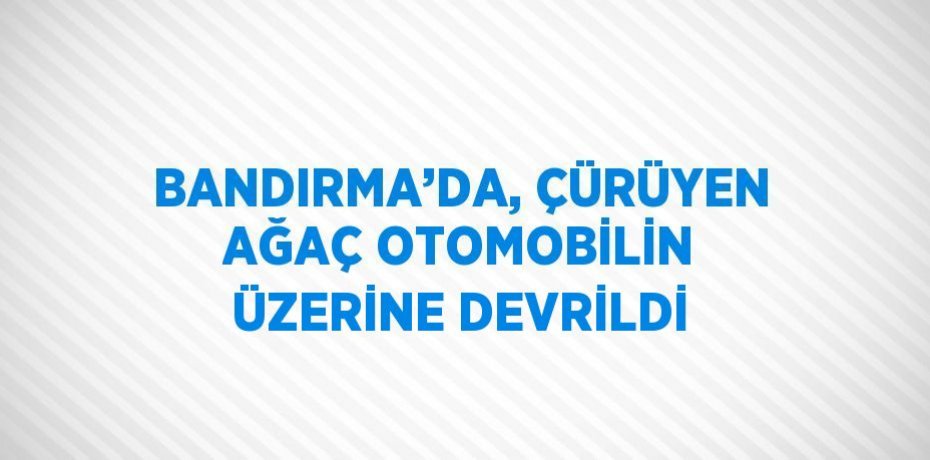 BANDIRMA’DA, ÇÜRÜYEN AĞAÇ OTOMOBİLİN ÜZERİNE DEVRİLDİ
