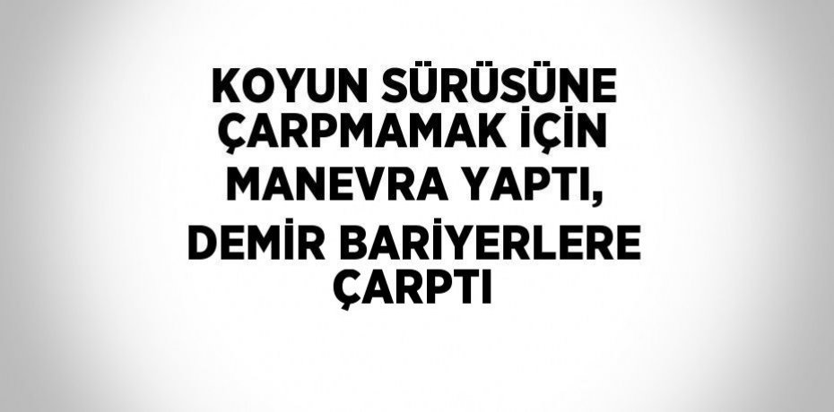 KOYUN SÜRÜSÜNE ÇARPMAMAK İÇİN MANEVRA YAPTI, DEMİR BARİYERLERE ÇARPTI