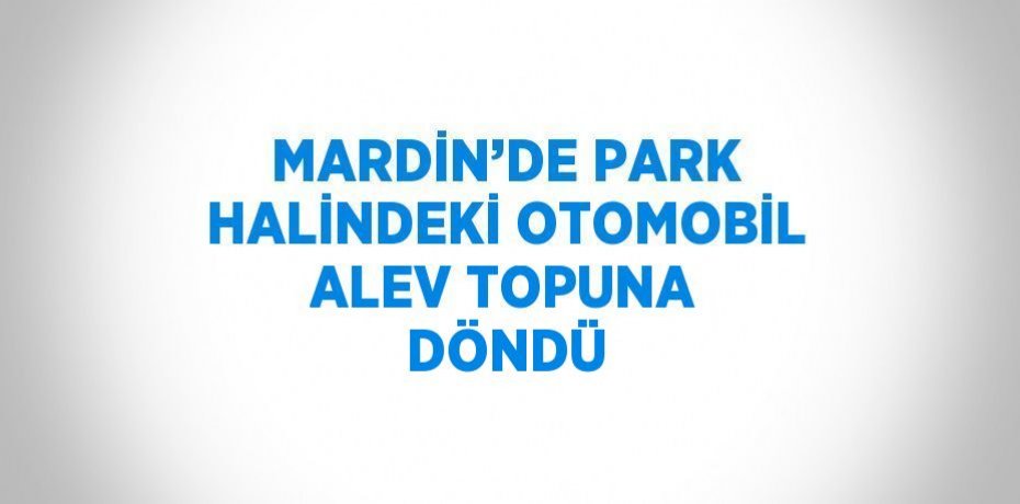 MARDİN’DE PARK HALİNDEKİ OTOMOBİL ALEV TOPUNA DÖNDÜ