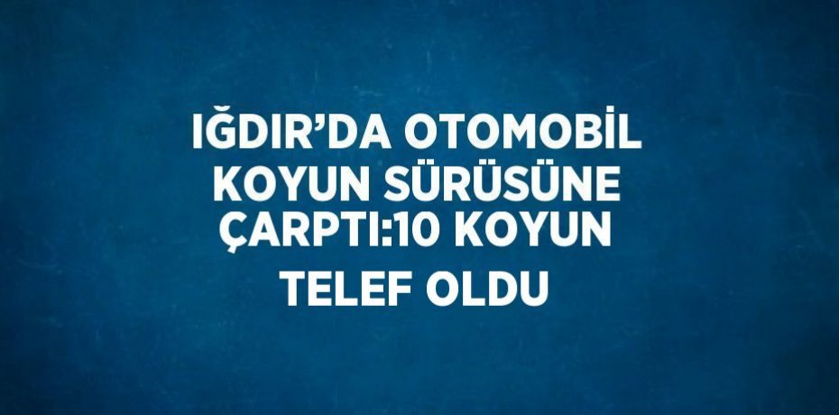 IĞDIR’DA OTOMOBİL KOYUN SÜRÜSÜNE ÇARPTI:10 KOYUN TELEF OLDU