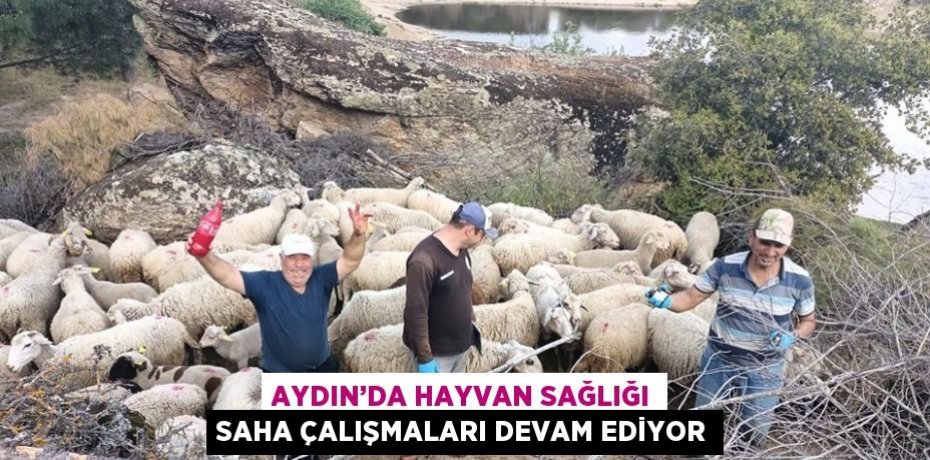 AYDIN’DA HAYVAN SAĞLIĞI SAHA ÇALIŞMALARI DEVAM EDİYOR