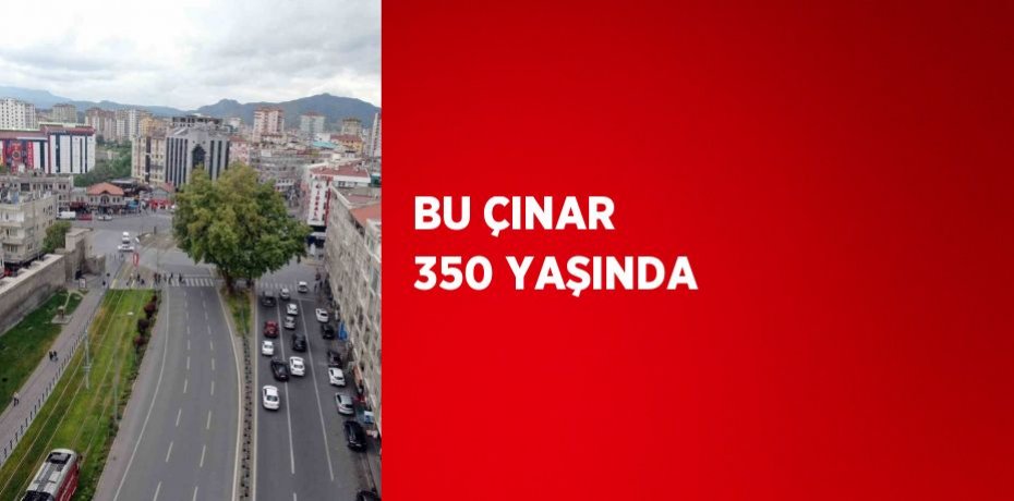 BU ÇINAR 350 YAŞINDA