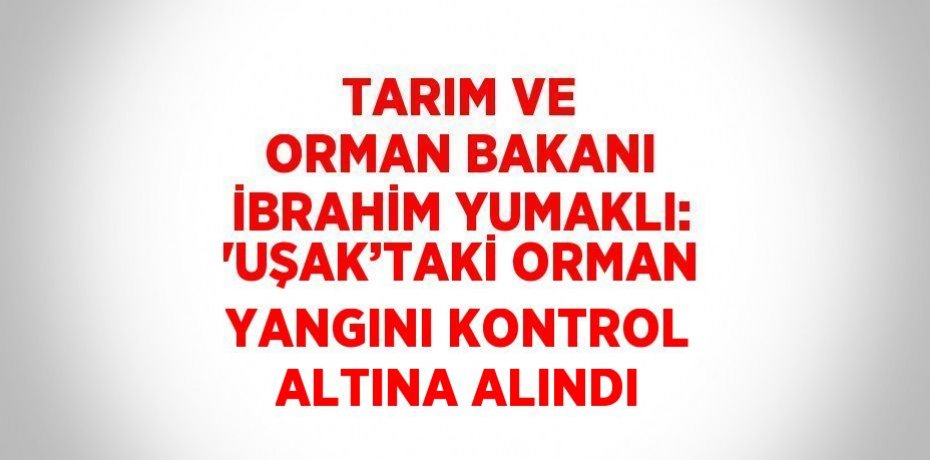 TARIM VE ORMAN BAKANI İBRAHİM YUMAKLI: 'UŞAK’TAKİ ORMAN YANGINI KONTROL ALTINA ALINDI