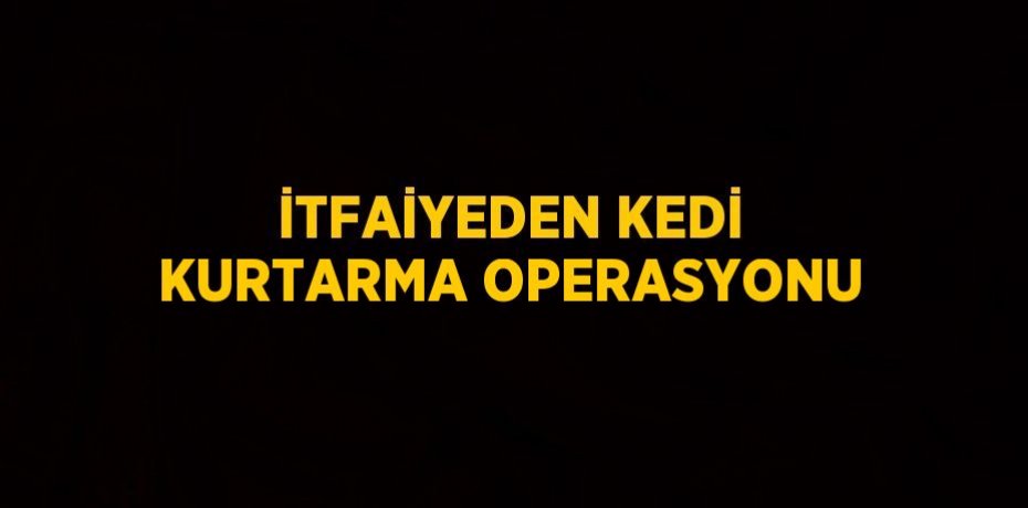 İTFAİYEDEN KEDİ KURTARMA OPERASYONU
