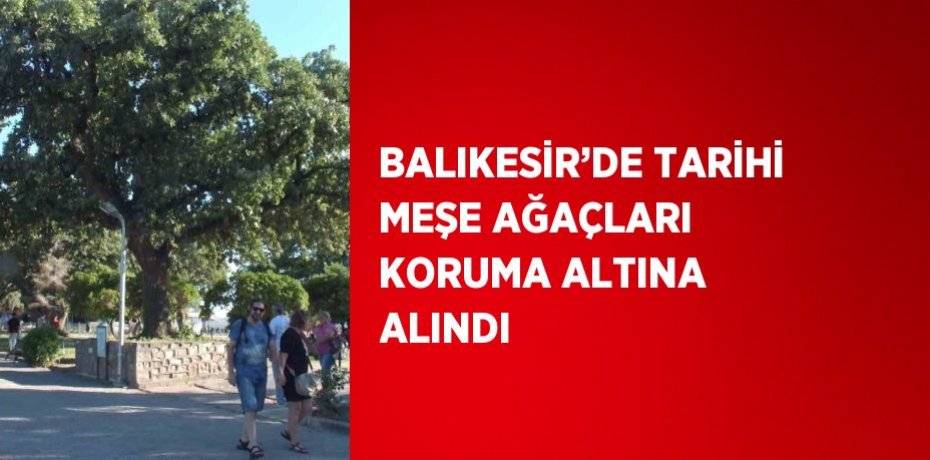 BALIKESİR’DE TARİHİ MEŞE AĞAÇLARI KORUMA ALTINA ALINDI