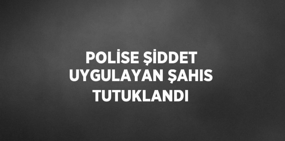 POLİSE ŞİDDET UYGULAYAN ŞAHIS TUTUKLANDI