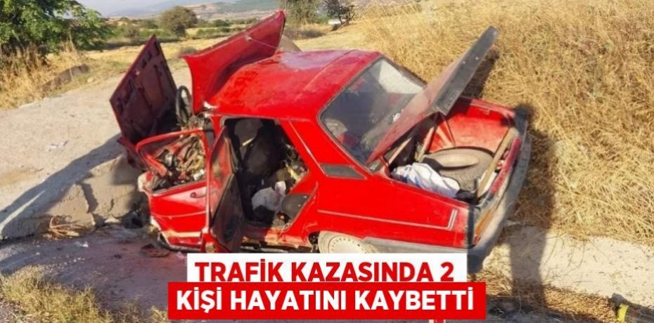 Trafik kazasında 2 kişi hayatını kaybetti