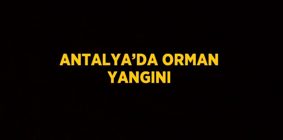 ANTALYA’DA ORMAN YANGINI