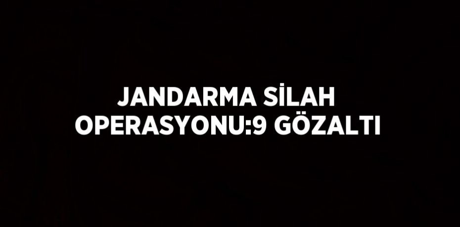 JANDARMA SİLAH OPERASYONU:9 GÖZALTI