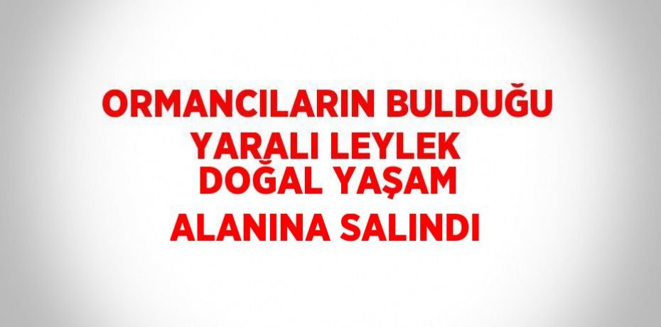 ORMANCILARIN BULDUĞU YARALI LEYLEK DOĞAL YAŞAM ALANINA SALINDI