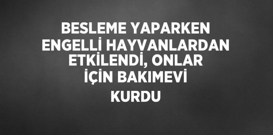 BESLEME YAPARKEN ENGELLİ HAYVANLARDAN ETKİLENDİ, ONLAR İÇİN BAKIMEVİ KURDU