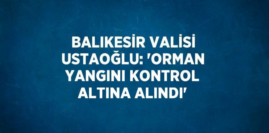 BALIKESİR VALİSİ USTAOĞLU: 'ORMAN YANGINI KONTROL ALTINA ALINDI'