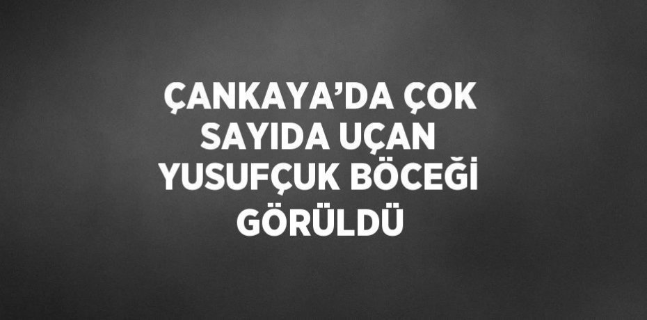 ÇANKAYA’DA ÇOK SAYIDA UÇAN YUSUFÇUK BÖCEĞİ GÖRÜLDÜ