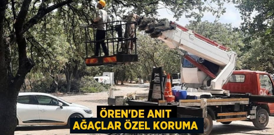 Ören’de anıt ağaçlar özel koruma
