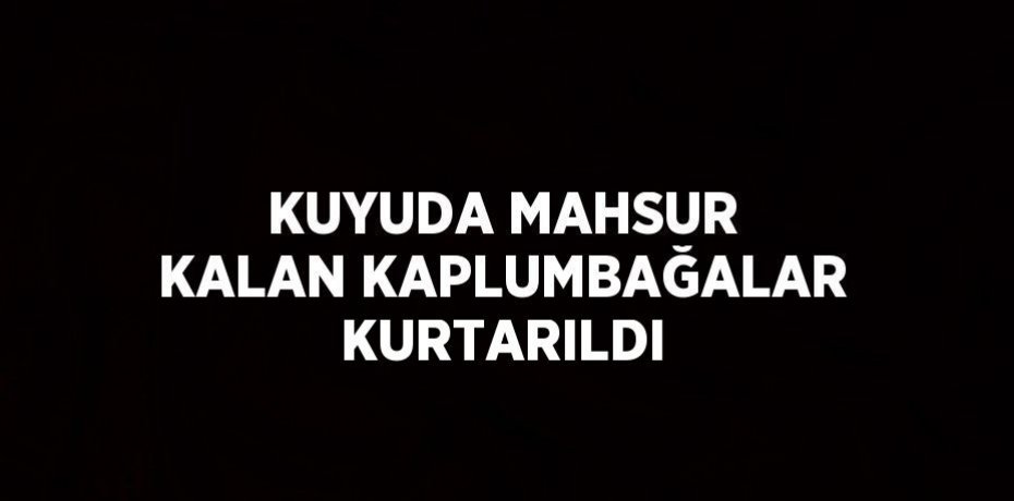 KUYUDA MAHSUR KALAN KAPLUMBAĞALAR KURTARILDI