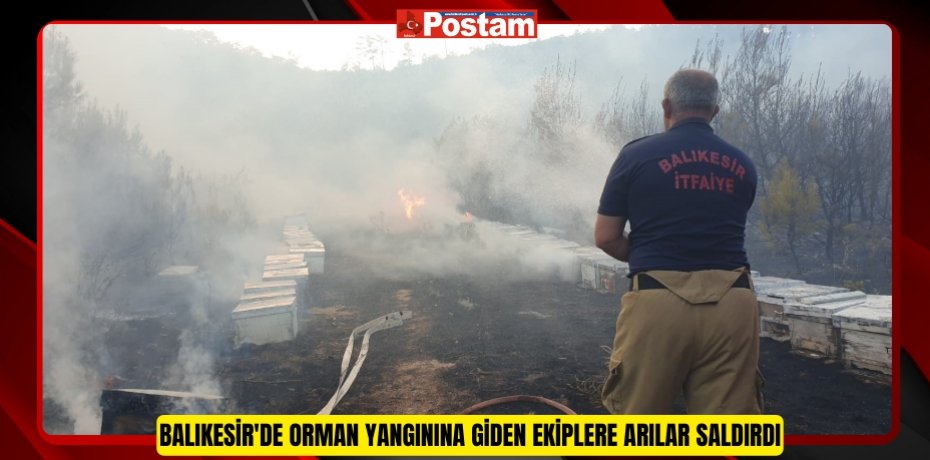 Balıkesir'de orman yangınına giden ekiplere arılar saldırdı  