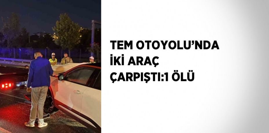 TEM OTOYOLU’NDA İKİ ARAÇ ÇARPIŞTI:1 ÖLÜ