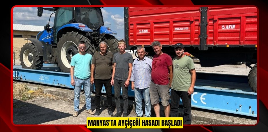 Manyas'ta ayçiçeği hasadı başladı