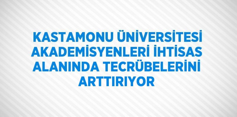 KASTAMONU ÜNİVERSİTESİ AKADEMİSYENLERİ İHTİSAS ALANINDA TECRÜBELERİNİ ARTTIRIYOR