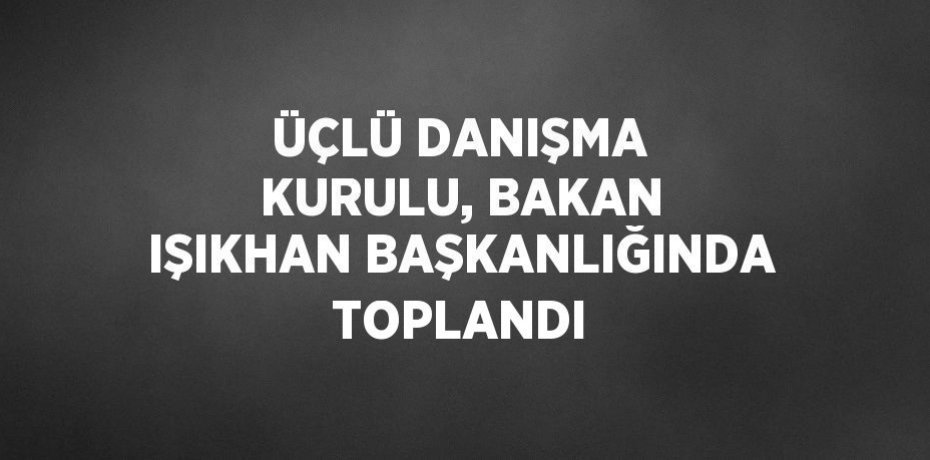ÜÇLÜ DANIŞMA KURULU, BAKAN IŞIKHAN BAŞKANLIĞINDA TOPLANDI