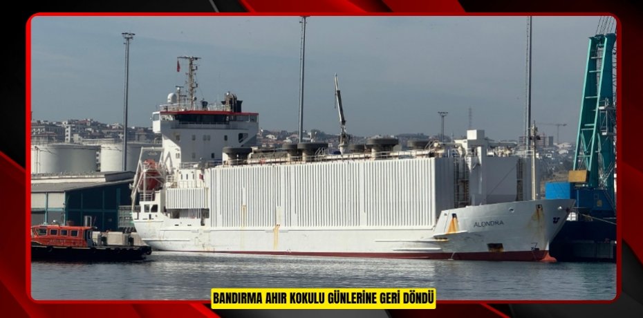 Bandırma ahır kokulu günlerine geri döndü