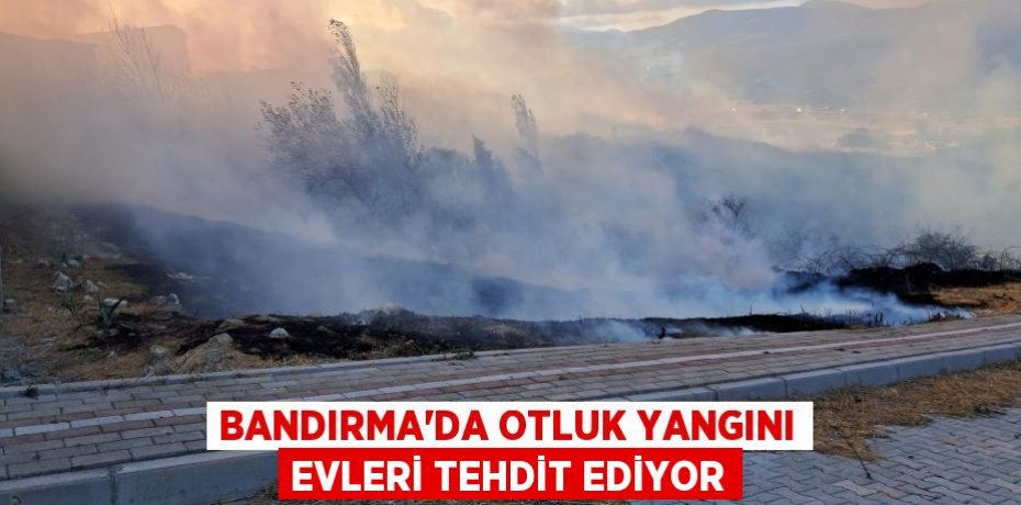 Bandırma'da otluk yangını evleri tehdit ediyor